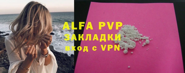бошки Гусев